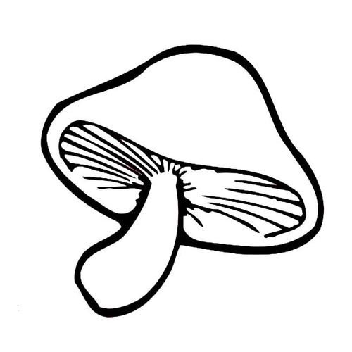 香菇物品简笔画步骤图片大全线条香菇香菇图标菌菇类香菇